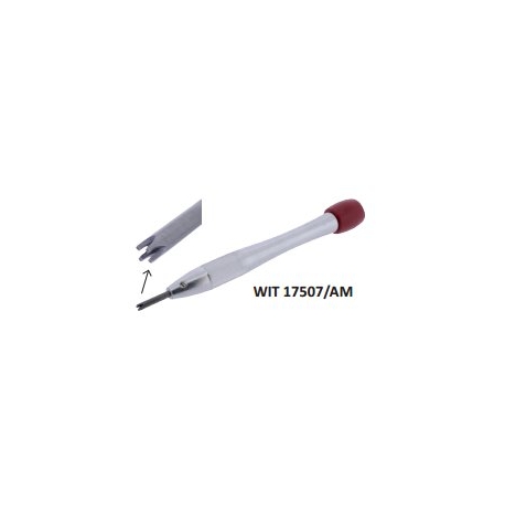 DEST WIT 17507/AM AU.PIG CABALLERO