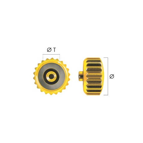 CORONA ACUATICA CHAPADA