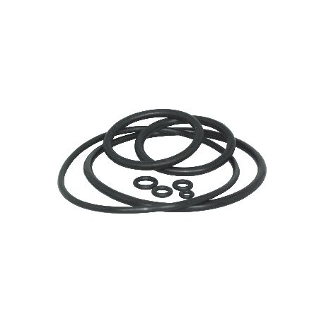 Vacuometro bergeon 5555/98-ASS Bolsa de 8 juntas