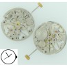 MAQUINA PULSERA DG 2650 ESQUELETO