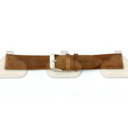 BÚFALO PLANO XL 034