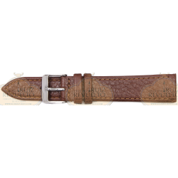 Bufalo plana 004