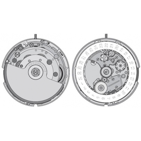 Movimiento ETA 205.911 AUTOCUARZ