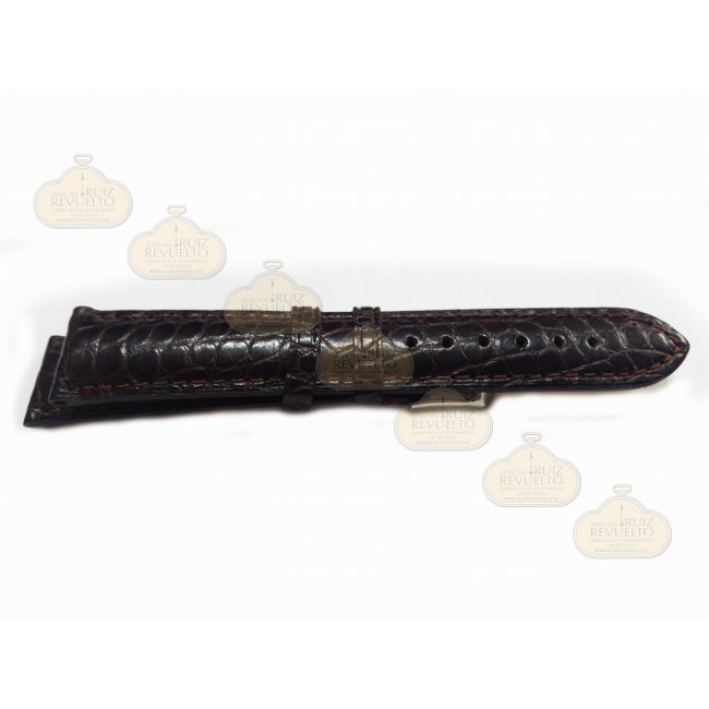 Alligator Legitimo 640