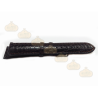 Alligator Legitimo 640