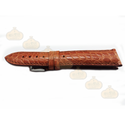 Alligator Legitimo 640