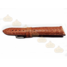 Alligator Legitimo 640