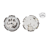 movimiento crono reloj