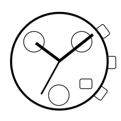 Modulo ISA 8171/202 8161/202