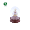EXPOSITOR RELOJ RELOJ BOLSILLO | CAMPANA CUBRE RELOJ