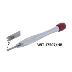 destornillador generico tornillos tipo Hublot