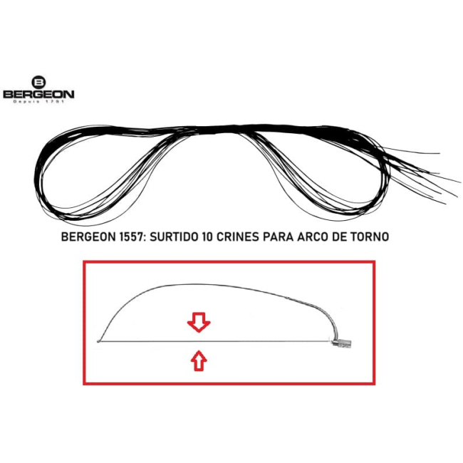 Bergeon 1557 Surtido 10 crin arco torno [OFERTA]