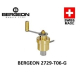 Bergeon 2729-T06