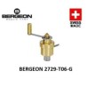 Bergeon 2729-T06