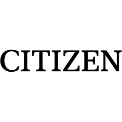 Citizen 246-111 3610