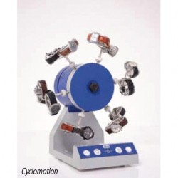 Rotor Elma Cyclomotion 12 relojes