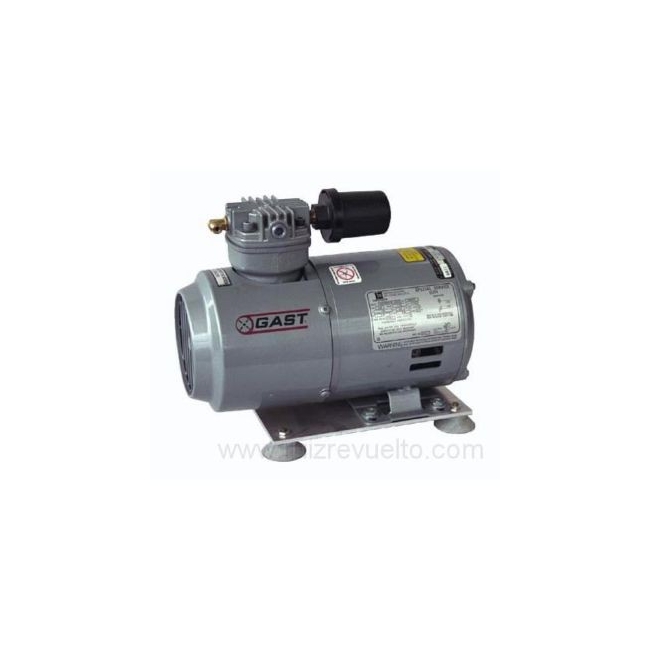 Compresor aire GAST - POSEIDON LT100